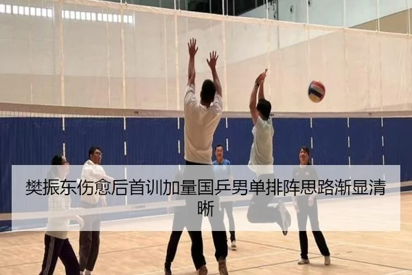 樊振东伤愈后首训加量国乒男单排阵思路渐显清晰